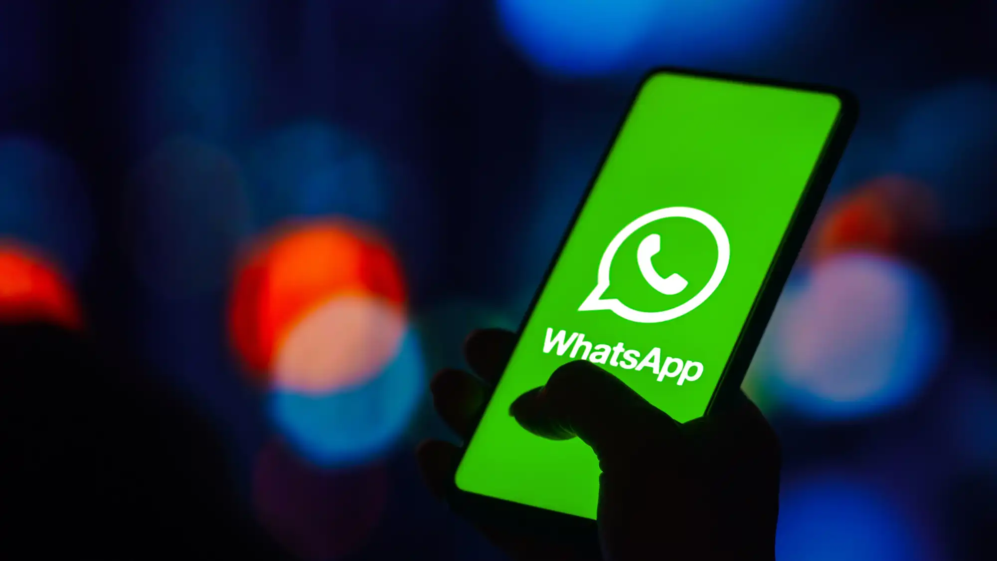 How to filter WhatsApp targeted followers? How to batch determine activity status and account tags. 
